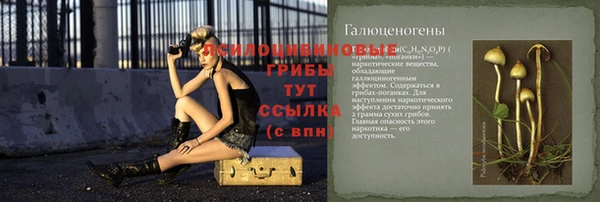 крисы Абаза