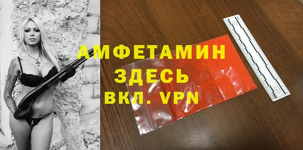 стафф Алексин