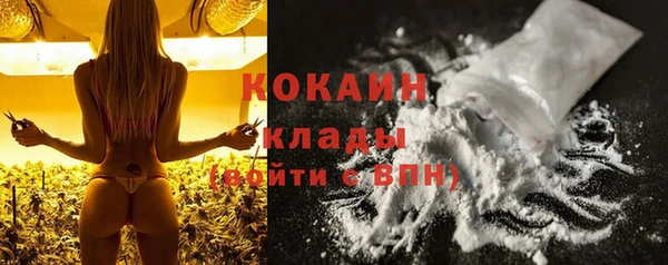 крисы Абаза