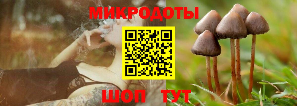 Псилоцибиновые грибы Cubensis Новоуральск